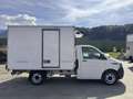 Volkswagen T6.1 Transporter T6 Kühlkoffer Allrad 4x4 Carrier Xarios 300 Weiß - thumbnail 5