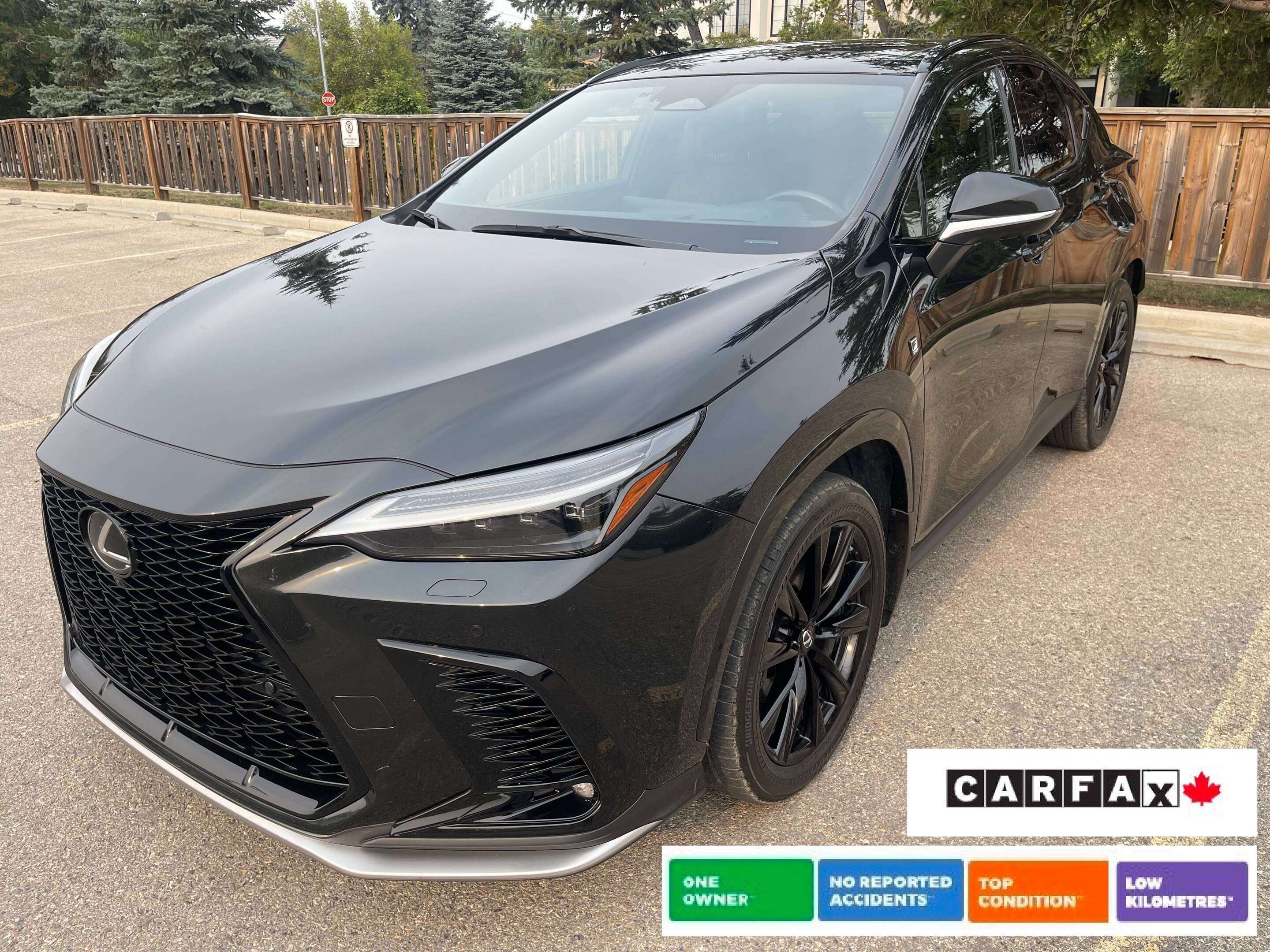2022 Lexus NX F-Sport 3