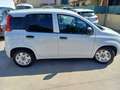Fiat Panda Panda 1.2  Gpl  VAN Weiß - thumbnail 1