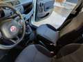 Fiat Panda Panda 1.2  Gpl  VAN Weiß - thumbnail 12