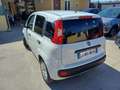 Fiat Panda Panda 1.2  Gpl  VAN Weiß - thumbnail 6