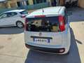 Fiat Panda Panda 1.2  Gpl  VAN Weiß - thumbnail 5