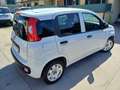 Fiat Panda Panda 1.2  Gpl  VAN Weiß - thumbnail 4