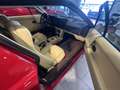 Lamborghini Jalpa 3.5 numerata ISCRITTA ASI BELLISSIMA!! RARA Rouge - thumbnail 10