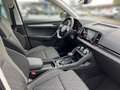 Skoda Karoq 1.5 TSI DSG TOUR *AHK *360° *PANO *MATRIX *ACC *V Grau - thumbnail 8