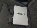 Skoda Karoq 1.5 TSI DSG TOUR *AHK *360° *PANO *MATRIX *ACC *V Grau - thumbnail 10