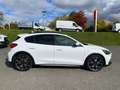 Ford Focus 2.0 EcoBlue Active LED+Navi+SHZ+Kamera+DAB Bianco - thumbnail 7