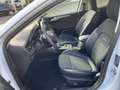 Ford Focus 2.0 EcoBlue Active LED+Navi+SHZ+Kamera+DAB Bianco - thumbnail 12