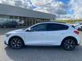 Ford Focus 2.0 EcoBlue Active LED+Navi+SHZ+Kamera+DAB Bianco - thumbnail 5