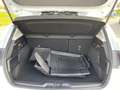 Ford Focus 2.0 EcoBlue Active LED+Navi+SHZ+Kamera+DAB Bianco - thumbnail 10