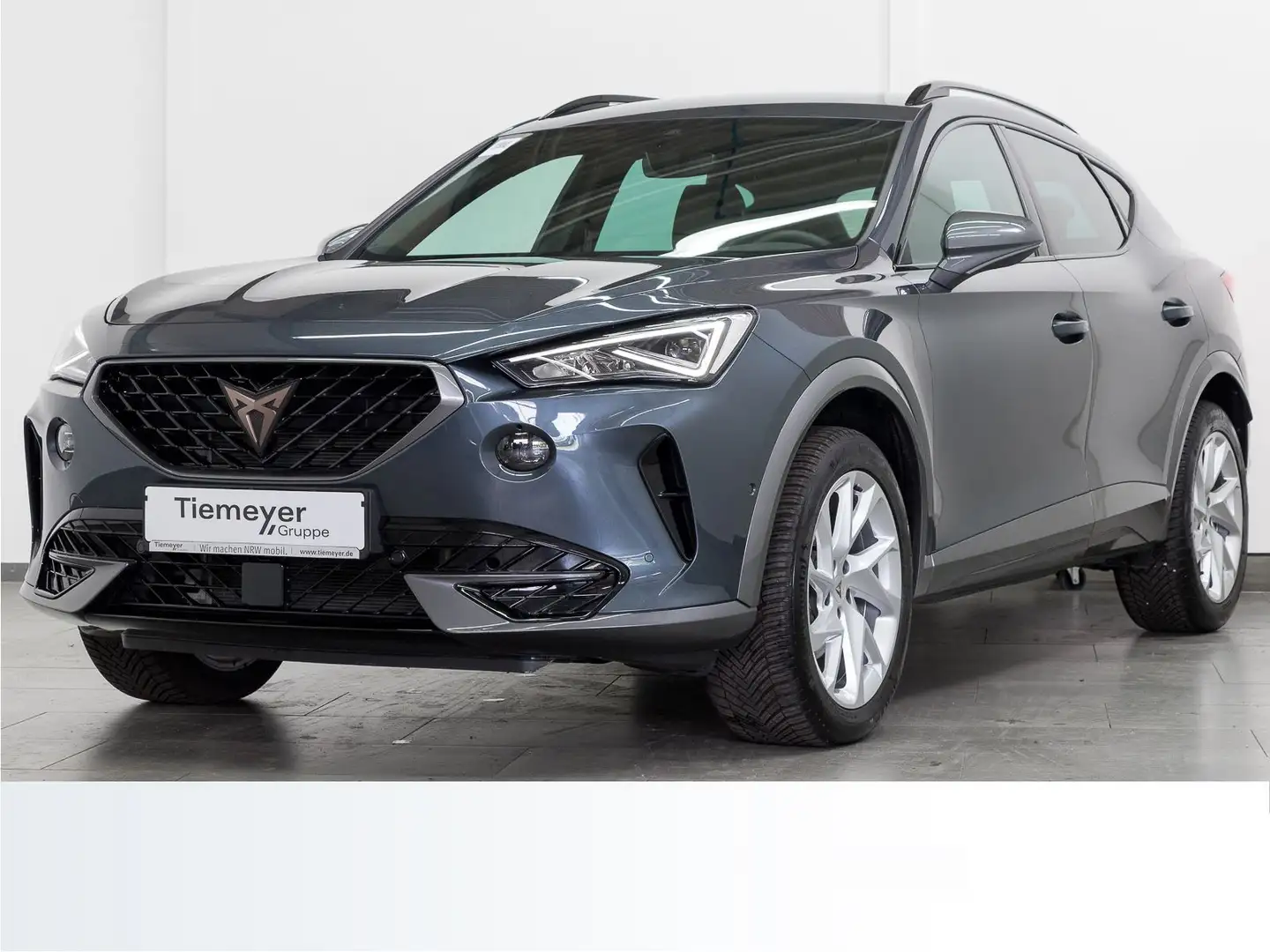 CUPRA Formentor 1.5 TSI DSG KAMERA FULL-LINK eKLAPPE N Gris - 2