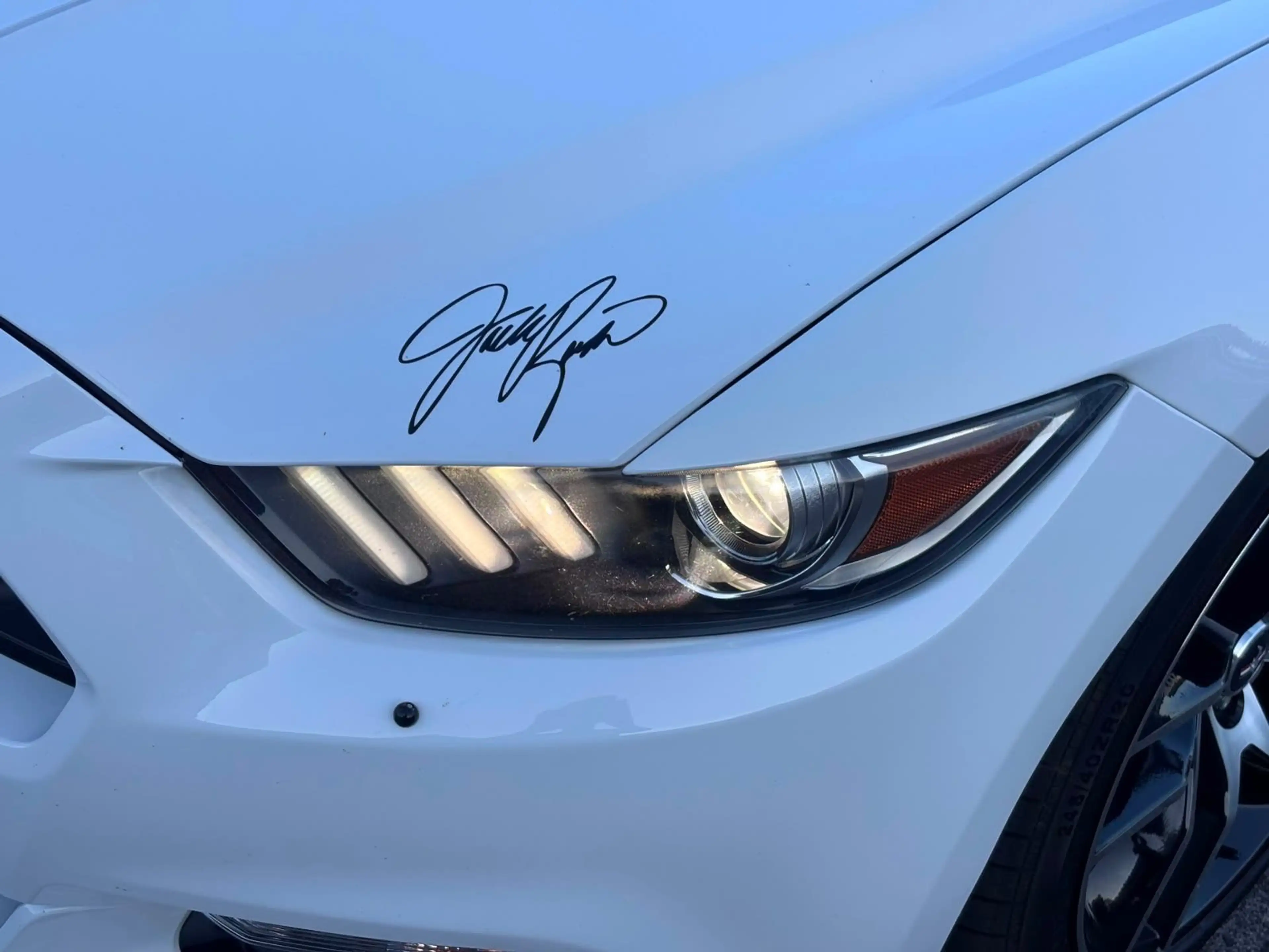 Ford Mustang 5.0 GT Cabrio *50 YEARS*LED*ROUSH-KIT* — photo 3