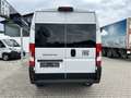 Fiat Ducato KOMBI PANORAMA MODULAR 35 L2H2 180AT Alb - thumbnail 6