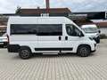 Fiat Ducato KOMBI PANORAMA MODULAR 35 L2H2 180AT Alb - thumbnail 2