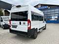 Fiat Ducato KOMBI PANORAMA MODULAR 35 L2H2 180AT Alb - thumbnail 5