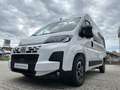 Fiat Ducato KOMBI PANORAMA MODULAR 35 L2H2 180AT Alb - thumbnail 11