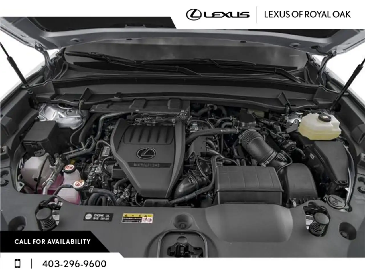Lexus TX photo Lexus TX