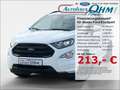 Ford EcoSport ST-Line 1.0 EcoBoost - RFK - SHZ - Weiß - thumbnail 1