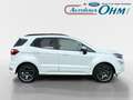 Ford EcoSport ST-Line 1.0 EcoBoost - RFK - SHZ - Weiß - thumbnail 8