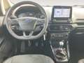 Ford EcoSport ST-Line 1.0 EcoBoost - RFK - SHZ - Weiß - thumbnail 12