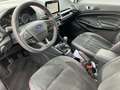 Ford EcoSport ST-Line 1.0 EcoBoost - RFK - SHZ - Weiß - thumbnail 12
