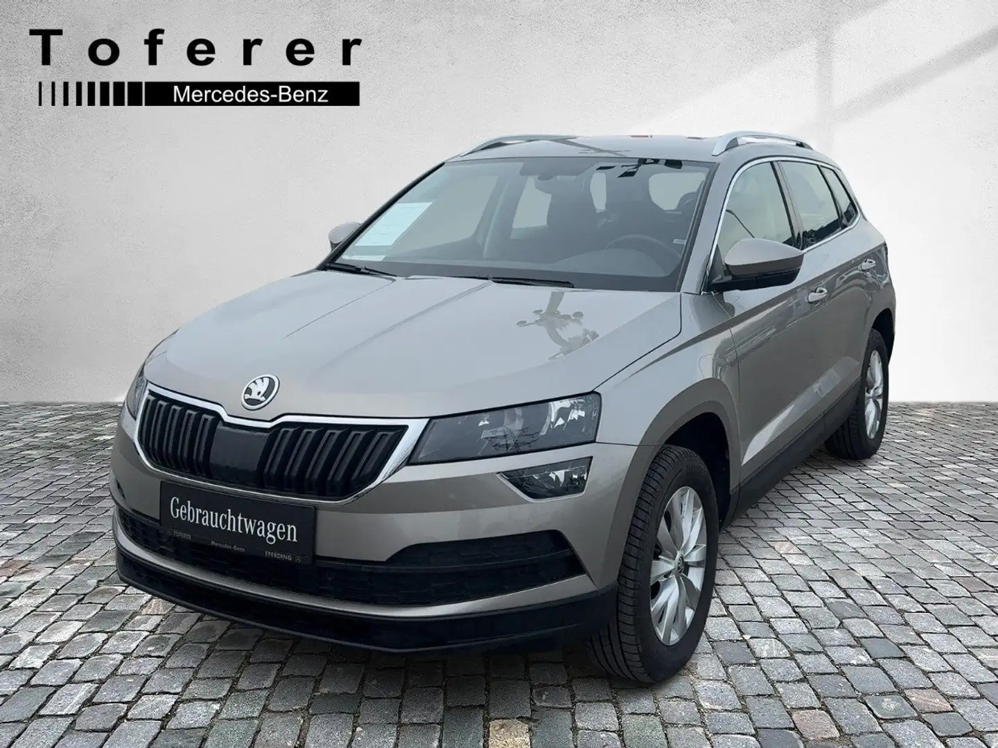 Skoda Karoq Grau - 1