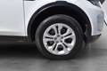 Land Rover Discovery Sport D180 4WD Aut. SE **ACC*LED*WINTERPAKET*ERSTBESITZ* Weiß - thumbnail 8