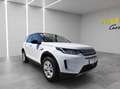 Land Rover Discovery Sport D180 4WD Aut. SE **ACC*LED*WINTERPAKET*ERSTBESITZ* Weiß - thumbnail 7