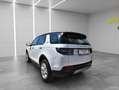 Land Rover Discovery Sport D180 4WD Aut. SE **ACC*LED*WINTERPAKET*ERSTBESITZ* Weiß - thumbnail 3