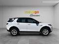 Land Rover Discovery Sport D180 4WD Aut. SE **ACC*LED*WINTERPAKET*ERSTBESITZ* Weiß - thumbnail 6