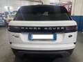 Land Rover Range Rover Velar Range Rover Velar 2.0 si4 250cv auto my20 Bianco - thumbnail 4