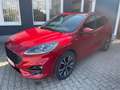 Ford Kuga ST-Line X TDCi190 Auto LED/DAB/NAV/AHK/WiPa Rot - thumbnail 1