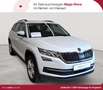 Skoda Kodiaq 2.0 TDI DSG Active AHK NAV Weiß - thumbnail 1