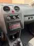 Volkswagen Caddy van 1.6 TDI 102 CV 4P Bianco - thumbnail 3
