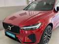 Volvo XC60 T6 Recharge R-Design Rojo - thumbnail 7
