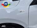 Ford Kuga 1.5 ecoblue st-line design 2wd 120cv Blanc - thumbnail 20