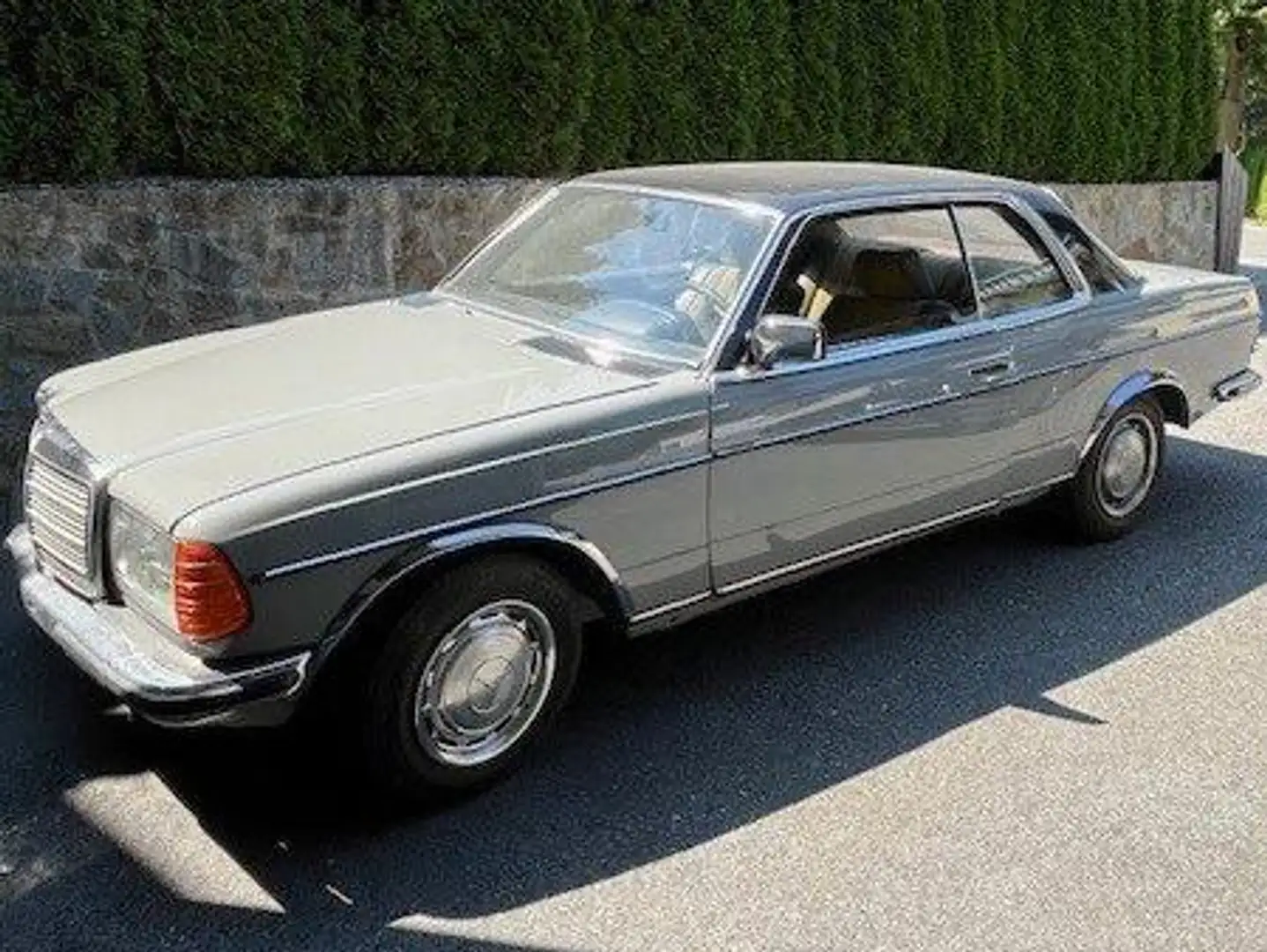 Mercedes-Benz E 230 230 E W123 Grau - 2