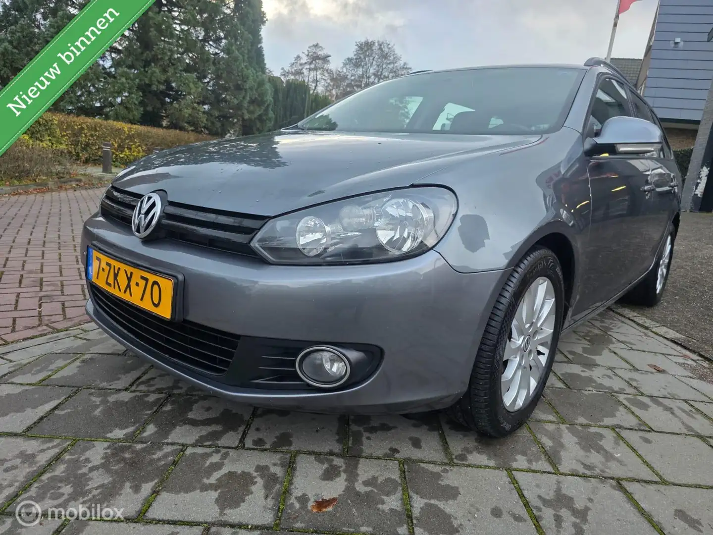 Volkswagen Golf Variant 1.6 TDI Comfortline BlueMotion Grijs - 2