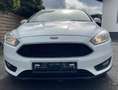 Ford Focus Trend*1.Hand*Euro-6*Anhänger*Tüv-Neu*Tip-Top Weiß - thumbnail 6