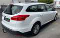 Ford Focus Trend*1.Hand*Euro-6*Anhänger*Tüv-Neu*Tip-Top Weiß - thumbnail 5