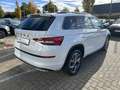 Skoda Kodiaq Sportline 4x4 2.0 TDI DSG*AHK*ACC*DCC* Blanc - thumbnail 5
