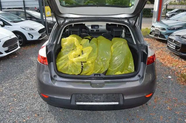 Renault Megane view 11