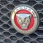 Jaguar XE XE 2.0d Pure Business edition 180cv auto Noir - thumbnail 14