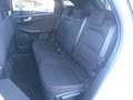 Ford Kuga 2.5 Full Hybrid 190 CV CVT 2WD ST-Line - PROMO - Bianco - thumbnail 7