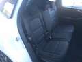 Ford Kuga 2.5 Full Hybrid 190 CV CVT 2WD ST-Line - PROMO - Bianco - thumbnail 8