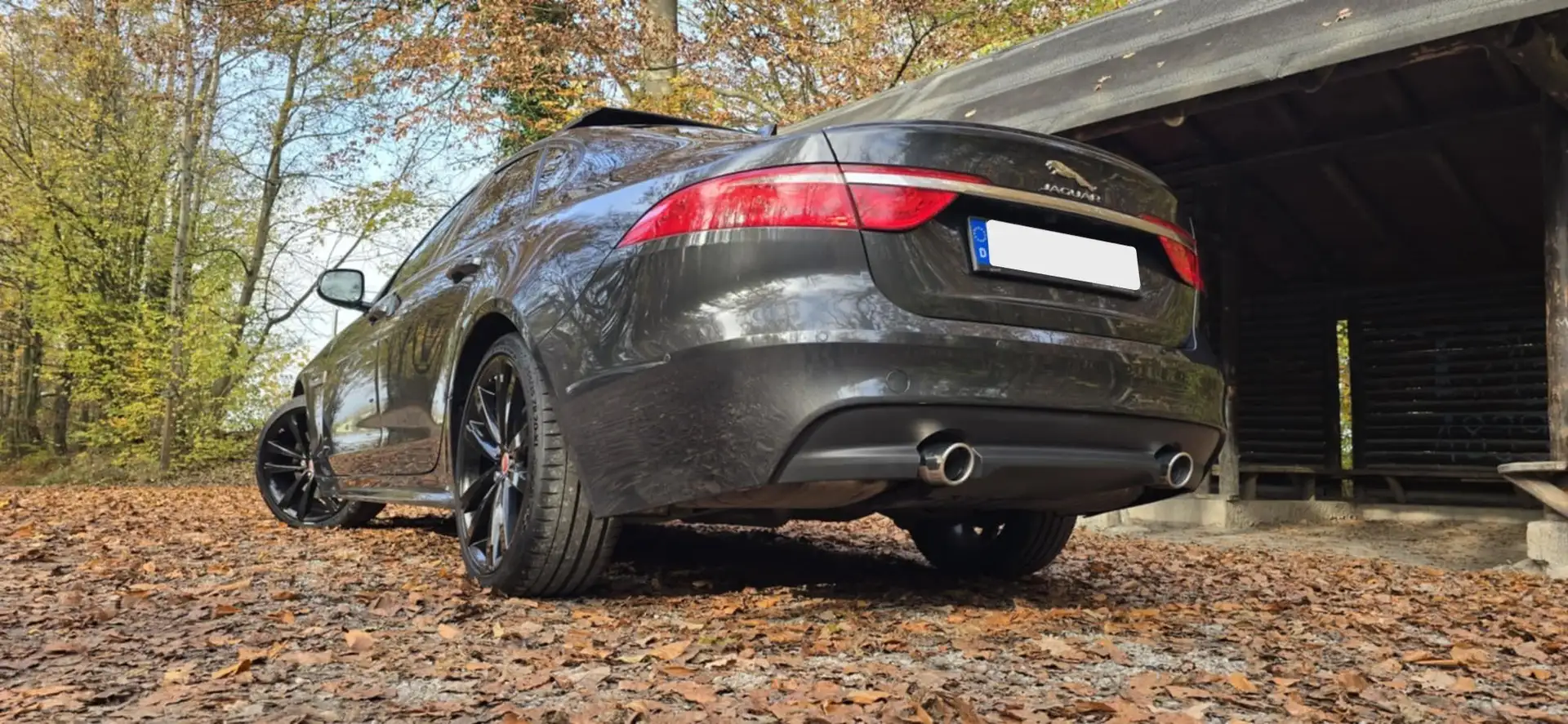 Jaguar XF XF Diesel 30d Aut. R-Sport Gri - 1