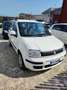Fiat Panda 1.4 natural power Dynamic - thumbnail 3