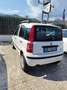 Fiat Panda 1.4 natural power Dynamic - thumbnail 4