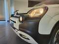 Fiat Panda 1.0 FireFly S&S Hybrid City Cross Blanc - thumbnail 6