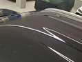 Ebro Sonstige 1.5 DHE HEV EXCELLENCE CVT 5P Schwarz - thumbnail 20